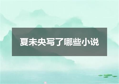 夏未央写了哪些小说