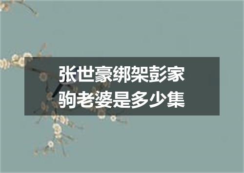 张世豪绑架彭家驹老婆是多少集