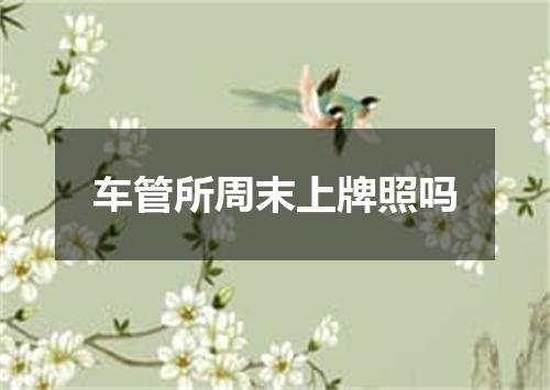 车管所周末上牌照吗