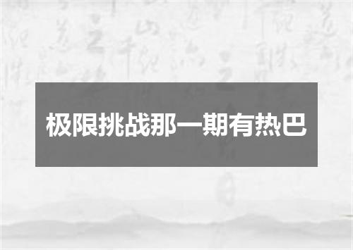 极限挑战那一期有热巴