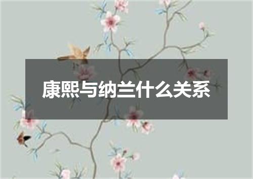 康熙与纳兰什么关系