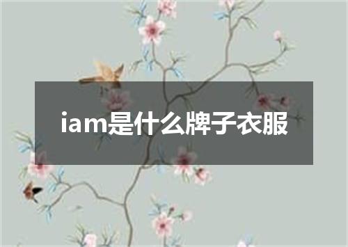 iam是什么牌子衣服