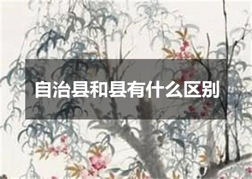 自治县和县有什么区别