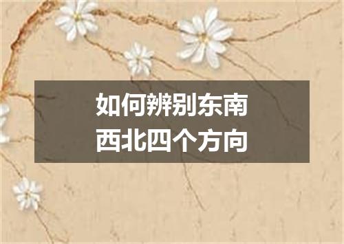 如何辨别东南西北四个方向