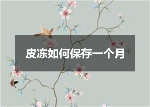 皮冻如何保存一个月