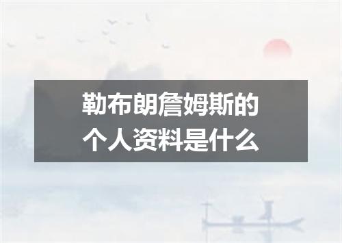 勒布朗詹姆斯的个人资料是什么