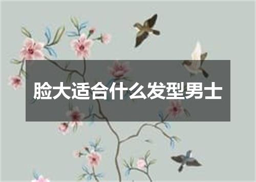 脸大适合什么发型男士