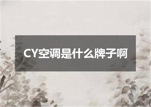 CY空调是什么牌子啊
