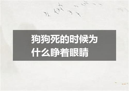 狗狗死的时候为什么睁着眼睛
