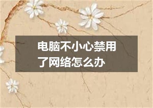 电脑不小心禁用了网络怎么办