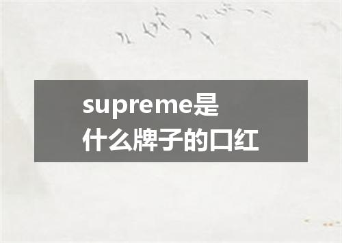 supreme是什么牌子的口红