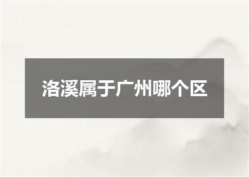 洛溪属于广州哪个区
