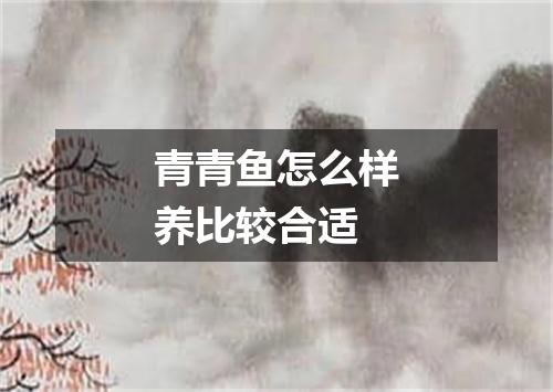 青青鱼怎么样养比较合适
