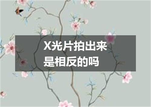 X光片拍出来是相反的吗