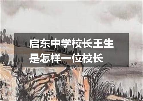 启东中学校长王生是怎样一位校长
