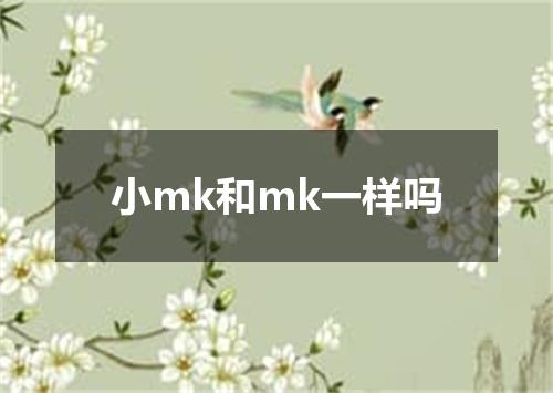 小mk和mk一样吗