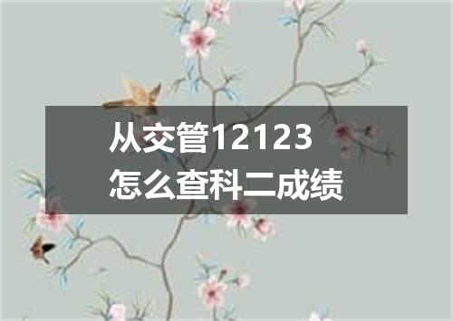 从交管12123怎么查科二成绩