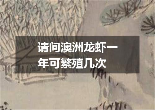 请问澳洲龙虾一年可繁殖几次