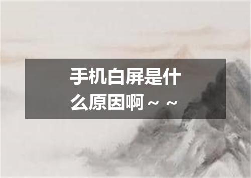 手机白屏是什么原因啊～～