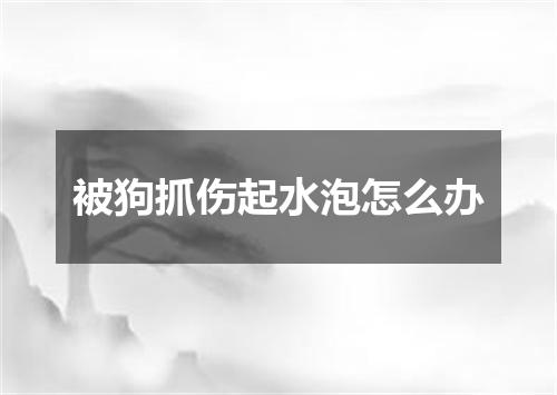 被狗抓伤起水泡怎么办