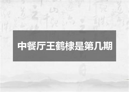 中餐厅王鹤棣是第几期