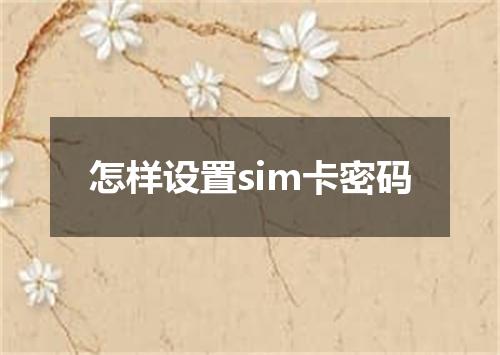 怎样设置sim卡密码