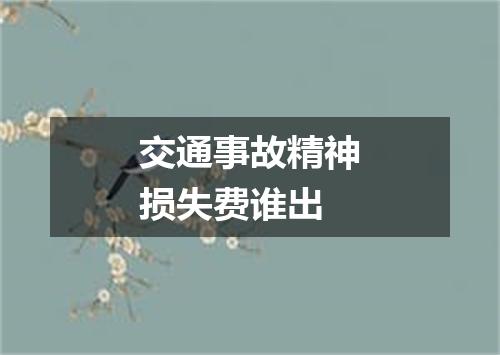 交通事故精神损失费谁出