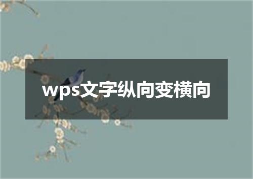 wps文字纵向变横向