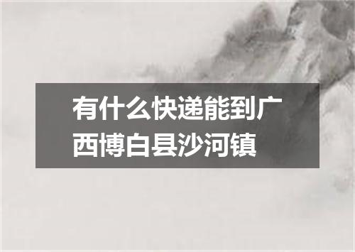 有什么快递能到广西博白县沙河镇