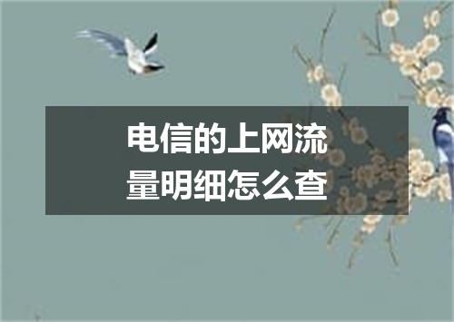 电信的上网流量明细怎么查