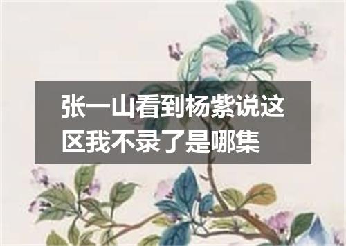 张一山看到杨紫说这区我不录了是哪集