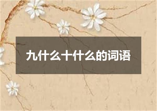 九什么十什么的词语