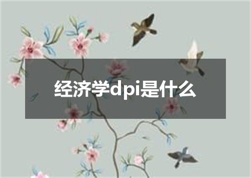 经济学dpi是什么