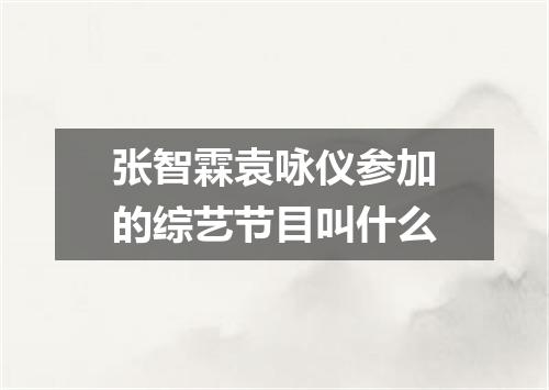 张智霖袁咏仪参加的综艺节目叫什么