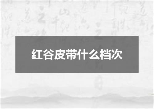 红谷皮带什么档次