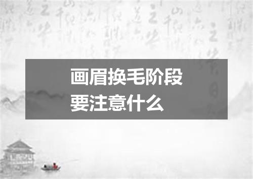 画眉换毛阶段要注意什么
