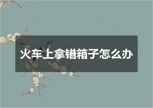 火车上拿错箱子怎么办