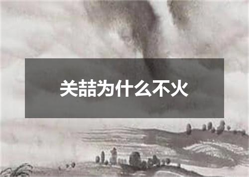 关喆为什么不火