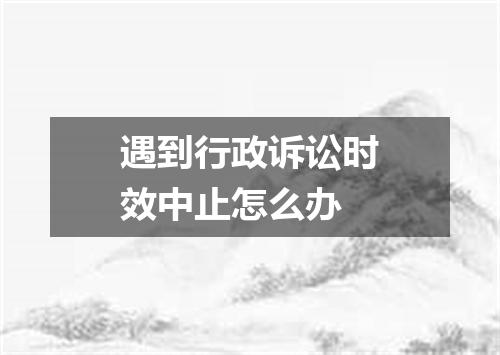 遇到行政诉讼时效中止怎么办