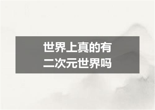 世界上真的有二次元世界吗