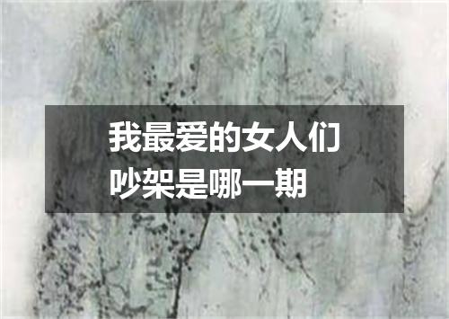 我最爱的女人们吵架是哪一期