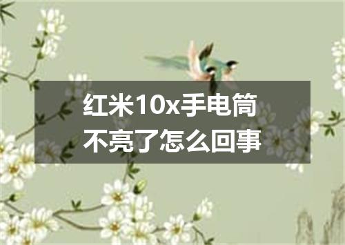 红米10x手电筒不亮了怎么回事