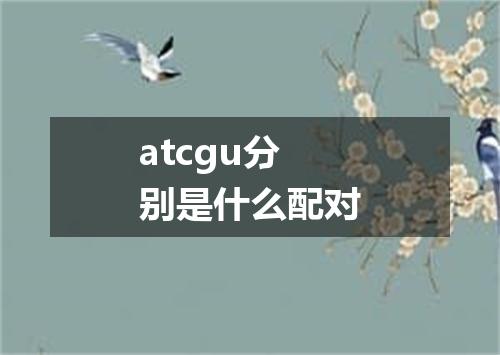 atcgu分别是什么配对