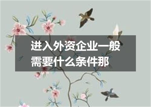 进入外资企业一般需要什么条件那