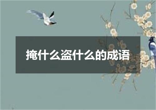 掩什么盗什么的成语