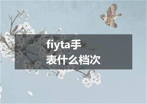 fiyta手表什么档次