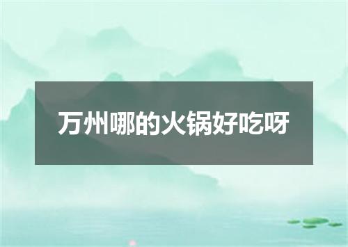 万州哪的火锅好吃呀