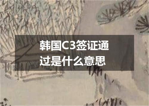 韩国C3签证通过是什么意思