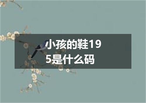 小孩的鞋195是什么码