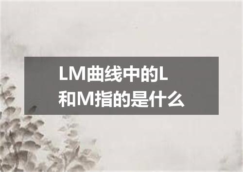 LM曲线中的L和M指的是什么